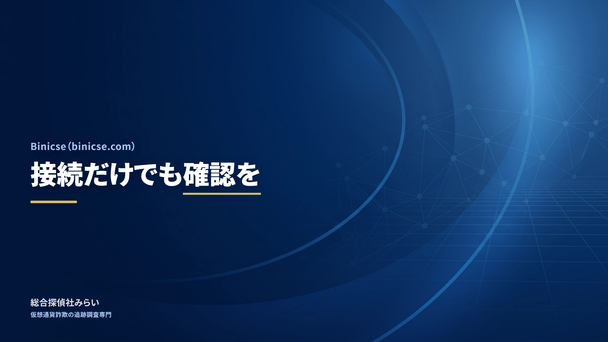 Binicse（binicse.com）｜接続だけでも確認を