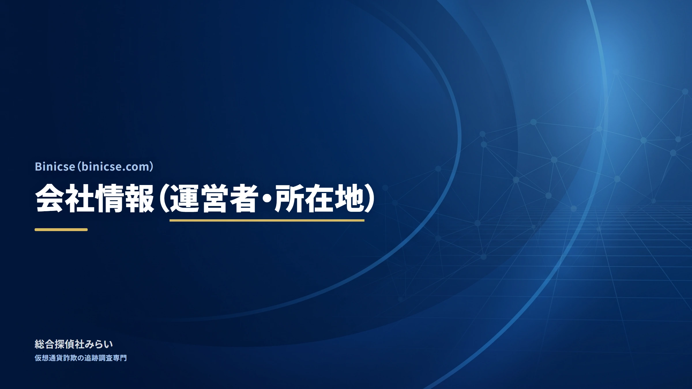 Binicse（binicse.com）｜会社情報（運営者・所在地）