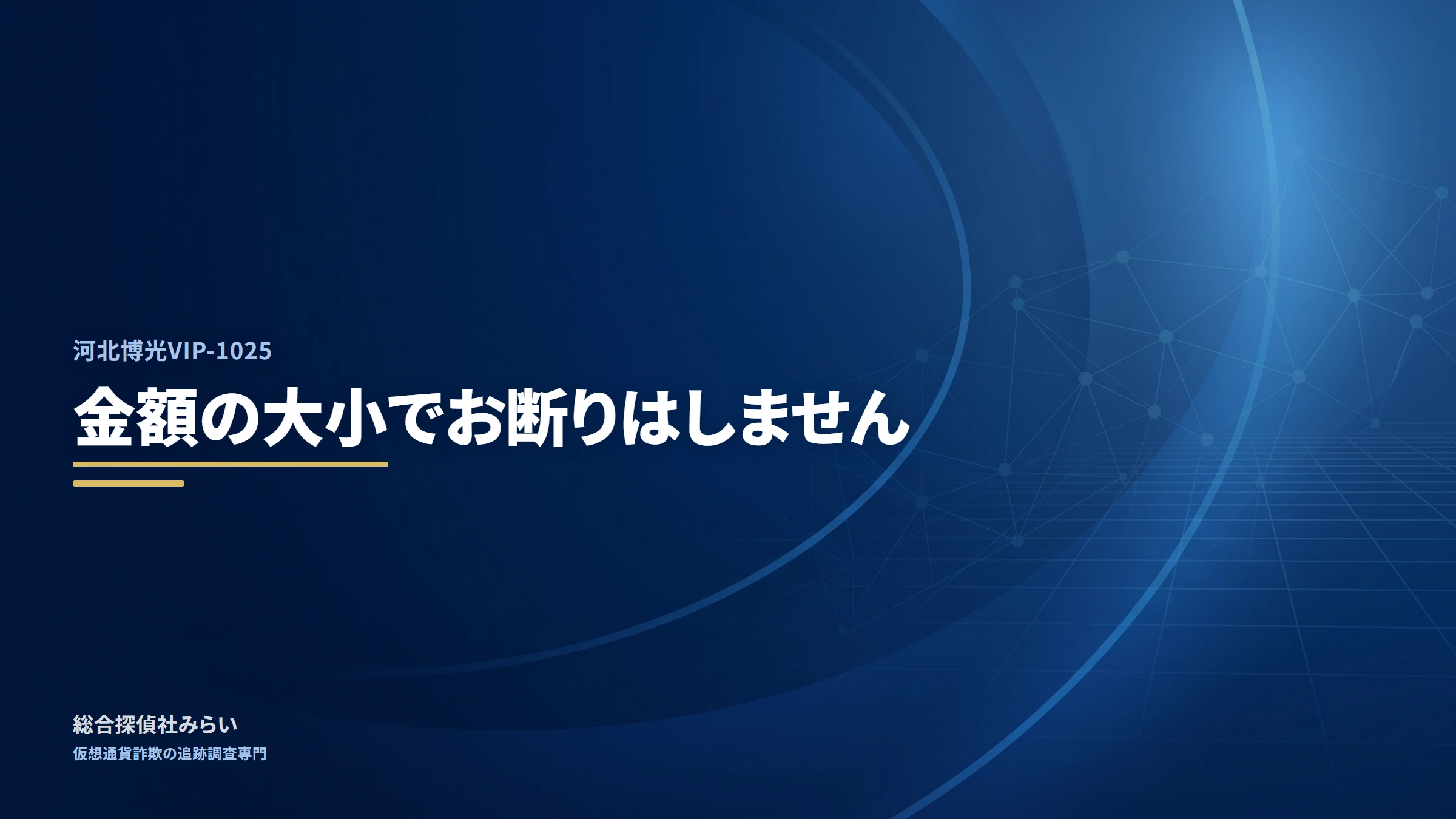 河北博光VIP-1025｜金額の大小でお断りはしません