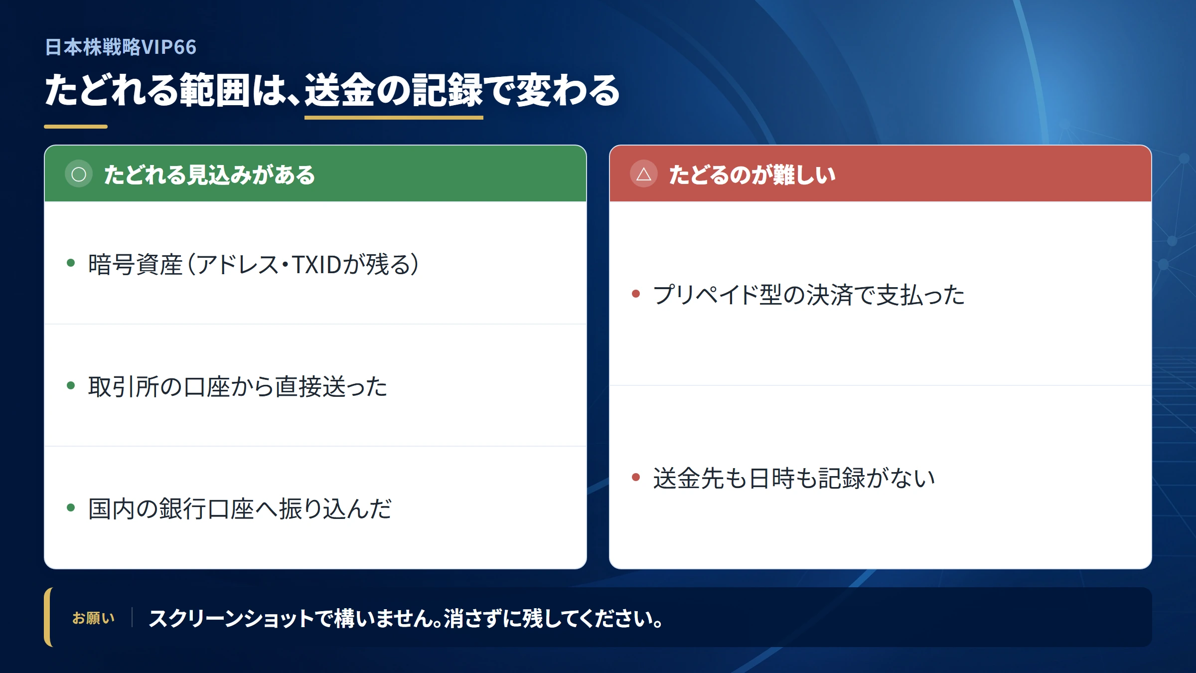 日本株戦略VIP66（調査記録）の送金を追跡できる範囲