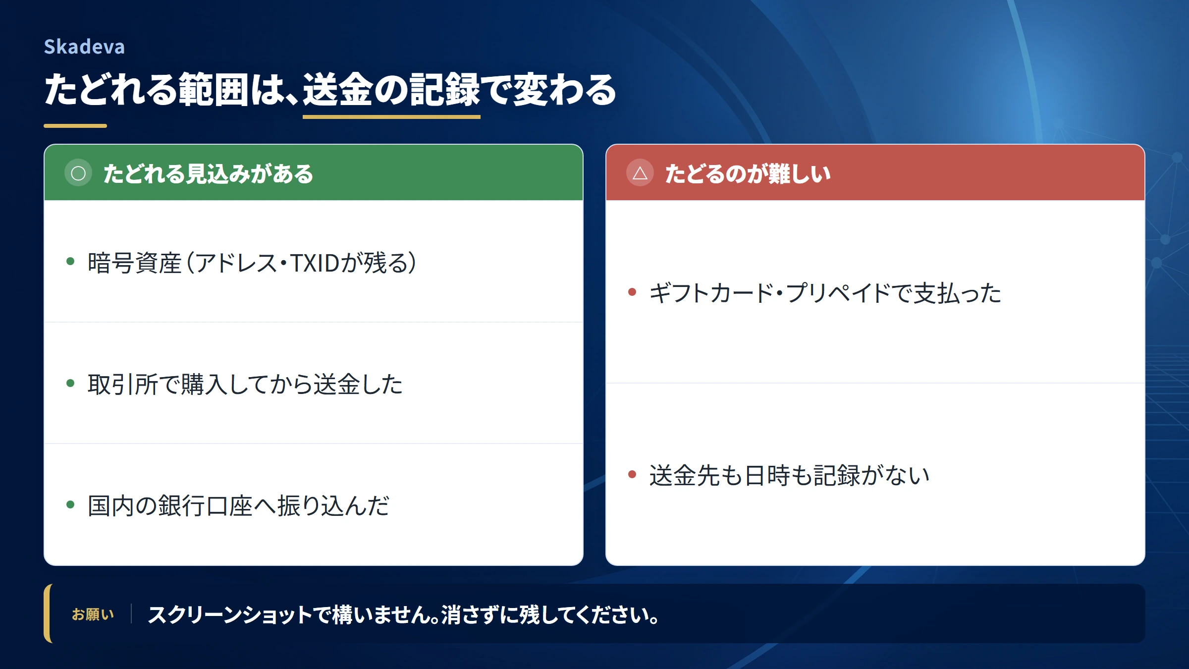 Skadeva（調査記録）の送金を追跡できる範囲