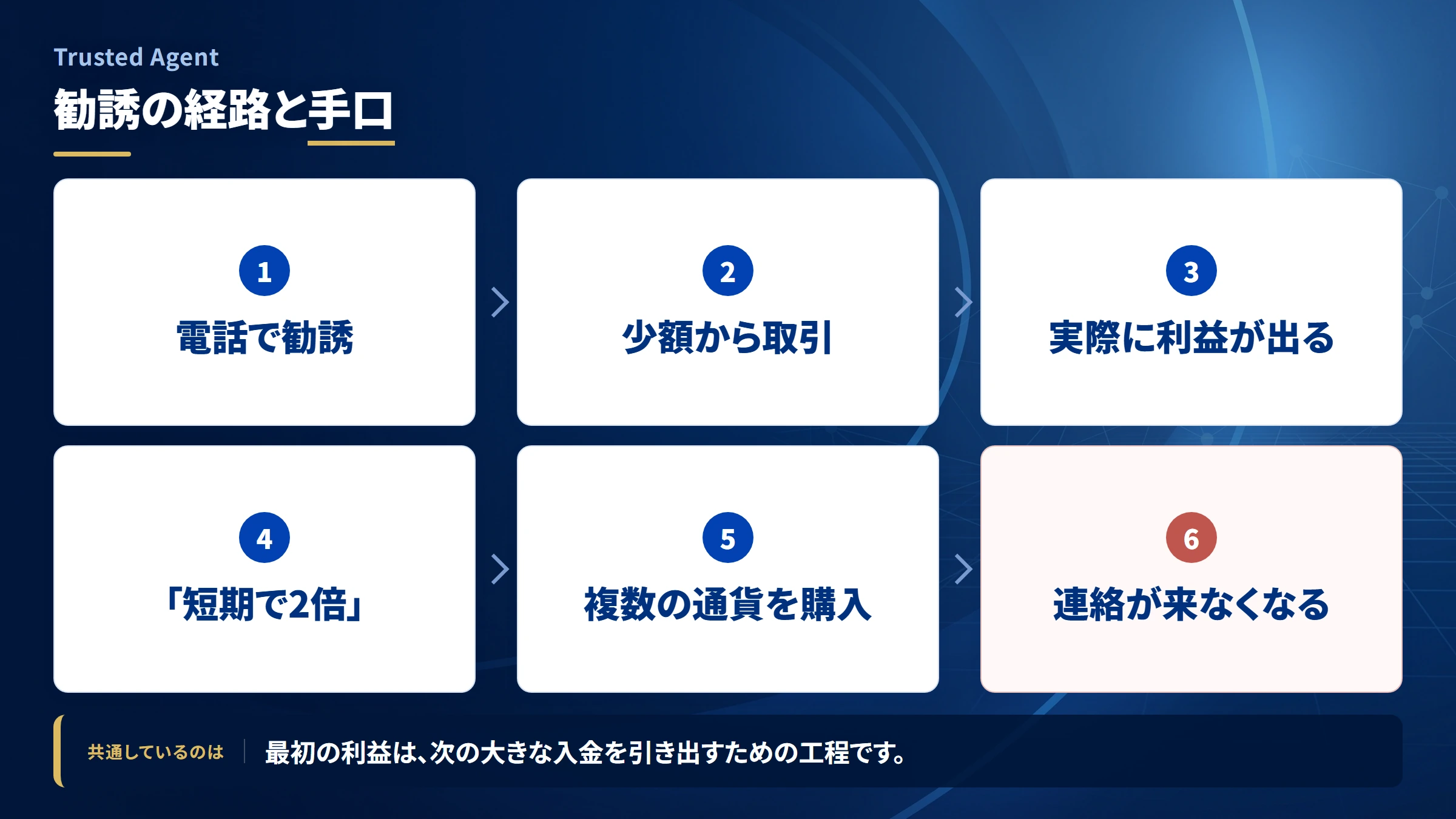 Trusted Agent（調査記録）の勧誘から送金までの流れ
