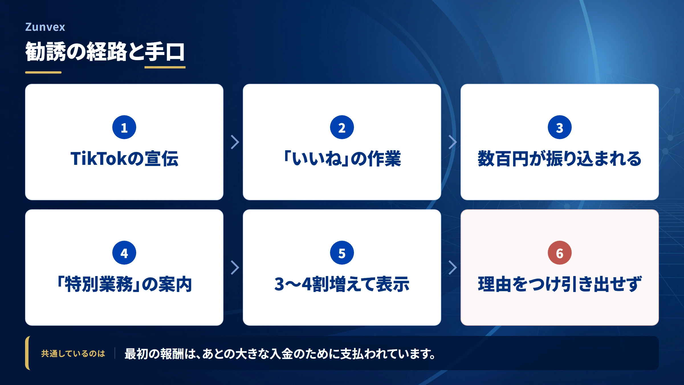 Zunvex（調査記録）の勧誘から送金までの流れ